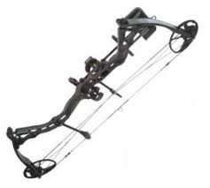 Diamond Infinite Edge Review Best Compound Bow Guide