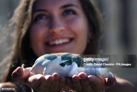 54 David Whitelaw Stock Photos, High-Res Pictures, and Images