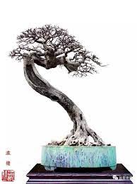 Bonsai is a japanese version of the original traditional chinese art penjing or penzai. I Pinimg Com 474x 87 3a Be 873abe2d0e356bef1f7d