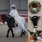 Atherstone Halloween Dressage Competition event in Swadlincote