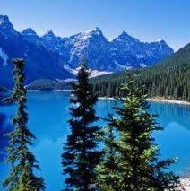 Taiga Biome Animal Facts And Information Biomes Biomes Project Boreal Forest