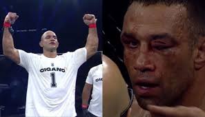 Fabricio Werdum UFC Fight News, Videos & Pictures