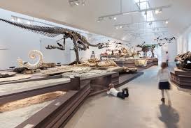 A Nature Museum Combines Context Sensitivity And Harsh Stylepark Nature Museum Museum Interior Museum Architecture