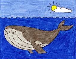 Today we are going to change things up a little bit, and learn how to draw a killer whale.killer whales are not whales at all. How To Draw A Humpback Whale Art Projects For Kids