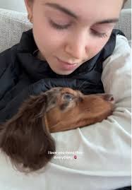 kisses 24/7!! 🫀sm luv @Luisi #dogtok #dachshund #dachshundtok #puppytok  #dachshundsoftiktok #dachshundpuppy #minidachshund #mini #weenie #weinerdog  #mini #weenie #weinerdog #weiner #dogsoftiktok ...