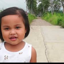 What are the requirements for online pension updating?