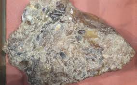 Você já imaginou que o vômito de baleia pode valer milhões de dólares? Que Es El Ambar Gris O Vomito De Ballena El Desecho Apestoso Arrojado Por El Mar Que Vale Una Fortuna Ambar Gris Vomito Ballena The Epoch Times En Espanol