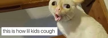 Discover the magic of the internet at imgur, a community powered entertainment destination. We Need To Talk About This Coughing Cat Meme Because It Has Truly Ruined Me