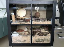 Hamster Cage Modern Style Hamster Kleintierkafig Meerschweinchenstall