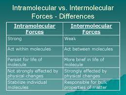 Intermolecular attractions are attractions between one molecule and a neighbouring. Intermolecular Forces Intra Vs Interu Intra Inward U