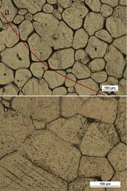 Simple diffusion is carried out by the actions of hydrogen bonds forming between water molecules an : Synthesis And Characterization Of Semi Permeable Graphene Graphene Oxide Membranes For Water Desalination Springerlink