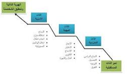ﺧﻄﻮﺍﺕ ﻣﻨﻬﺠﻴﺔ ﻟﺘﻌﺰﻳﺰ ﺍﻟﺜﻘﺎﻓﺔ ﺍﳌﻘﺎﻭﻻﺗﻴﺔ ﰲ ﺍﻟﱪﺍﻣﺞ