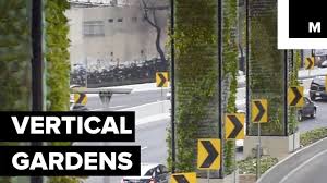 Gravitasi dengan menggunakan kemampuan otot (ostijic, 2010). Mexico City S Vertical Gardens Seeds Of Change Or Cynical Greenwashing Cities The Guardian