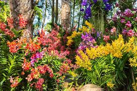 Many experts encourage gardeners to plant a border of flowers around the perimeter of the garden. How To Grow A Successful Flower Garden