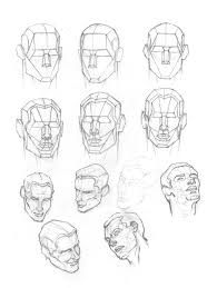 Human Head Plates 2 By Atlas0 On Deviantart Human Skull Anatomy Skull Anatomy Head Anatomy