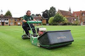 Check spelling or type a new query. Dennis Mowers A Pedigree No One Can Argue With
