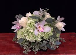 The lanceolate leaves are 4 to 9 inches in length by 2 inches wide, shiny and pink when they first emerge, fading. B1 Half A Dozen White Roses Apple Green Hydrangeas White Cymbidium Orchids With Seeded Eucalyptus Urban Flowers