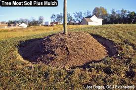 Raised flower beds around trees. Land Of The Bizarre Tree Moats And Volcano Mulch Bygl