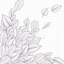 Graphite & carbon pencil drawing. Ink Drawing Leaves At Lined Paper Vector Images