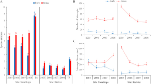 Image result for Diclis reptans