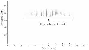The bilingual aphasia test (bat) was designed to assess each of the languages of a bilingual or multilingual individual with aphasia in an equivalent way. Diversity Free Full Text Bat Pass Duration Measurement An Indirect Measure Of Distance Of Detection Html