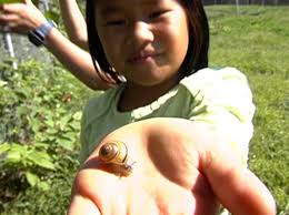 Inspecting Your Spot