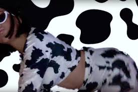 Pop icon doja cat is more online than many celebrities. Doja Cat S Bitch I M A Cow Is 2018 S Latest Viral Song People Com