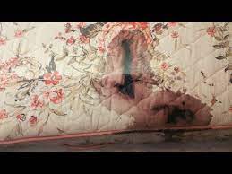 Macabre crime scene photos document the murder mysteries. Corey Jury Sees Graphic Crime Scene Photos Youtube