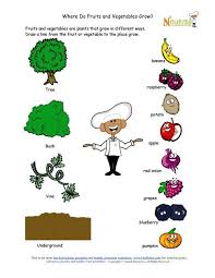 Where Do Fruits And Vegetables Grow Matching Worksheet This Would Be A Great Kids In The Kitchen Workshe Kids Vegetables Fruits And Vegetables Kids Nutrition