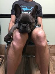Mar 15, 2018 · address correspondence to nathan falk, md, florida hospital family medicine residency, 133 benmore dr., ste. Companion Care Pet Hospital 2069 Aloma Ave Winter Park Fl Veterinarians Mapquest