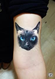 Cattattoo Illustration Umutal Eskisehir Tr Tatuagem De Mao Tatuagem De Gato Tatuagem Arte