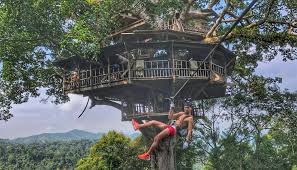 We did not find results for: 10 Most Incredible Tree House Hotels In The World