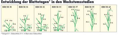 Maybe you would like to learn more about one of these? Ww Bbch Beratungsring Ackerbau Rheinhessen Pfalz