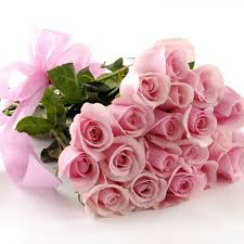 Kết quả hình ảnh cho hình ảnh hoa hồng