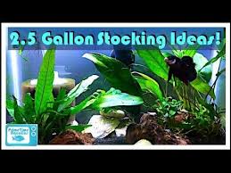 Pin On Let S Go Fishing