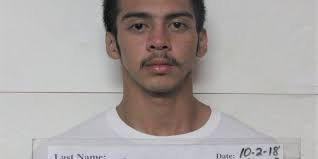 Manny Jose Salas charged in rental car theft while