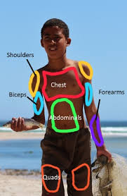The aim of this exercise is to improve your confidence in identifying different structures. Muscle Groups Lesson For Kids Study Com