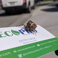 Mosquito prevention, flying & stinging insect solutions. Ecopro Home Pest Control 42 Photos 92 Reviews Pest Control Hollister Ca Phone Number