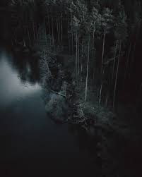 Aerial View Of A Dark Forest In Nuremberg Germany Free Image By Rawpixel Com Fairfilter Dark Art Photography Dark Green Aesthetic Dark Forest