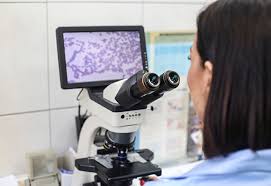 Image result for Anoscopy