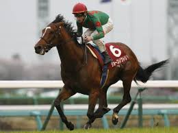 Nhk, which has always been known by this romanized initialism in japanese. Nhkãƒžã‚¤ãƒ«c 7æ—¥ æ±äº¬ å‡ºèµ°18é ­ãŒæ±ºã¾ã‚‹ ç«¶é¦¬ãƒ‹ãƒ¥ãƒ¼ã‚¹ Netkeiba Com