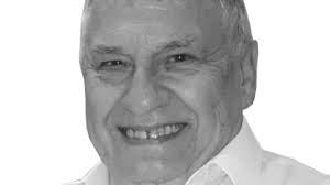 Últimas noticias sobre Labrador en Plaza Nueva