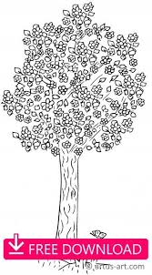 Check spelling or type a new query. Cherry Blossom Tree Coloring Page Springcoloringpage Spring Blooming Bloomingtree Tree Coloring Page Blossom Trees Nature Coloring Pages