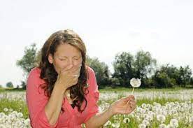 Ways To Reduce Hay Fever Symptoms Sur In English