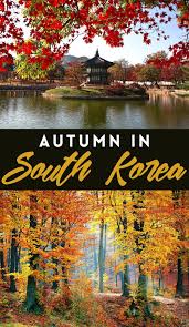 There are plenty of spots to enjoy the beauty of autumn, and even within its capital city, seoul, you'll find plenty of parks and to fully enjoy the fall colors, check out the fall foliage forecast (2019 update now available) and use the map to plan your trip. Autumn In South Korea The Country S Best Spots For Fall In One Amazing Road Trip