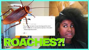 For example, redken is just one brand has a fabulous line of hair care products for fine hair. I Went To The Worst Reviewed Natural Hair Salon In My City Washington D C Youtube