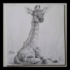 Giraffe images giraffe photos giraffe art cute giraffe funny giraffe pictures cute baby animals animals and pets funny animals wild. Artstation Baby Giraffe At Zoo Sketch Jared Barber
