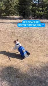 Remembering this beautiful baby . . . Maddie Kathryn 10/9/04