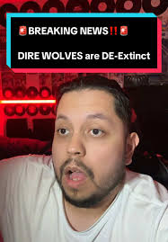 What Happened to Gert Wolf in 29105