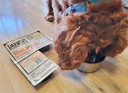 Eight tips for deciphering cat food names and claims. Unbiased Darwin S Dog Food Review 2021 We Re All About Pets